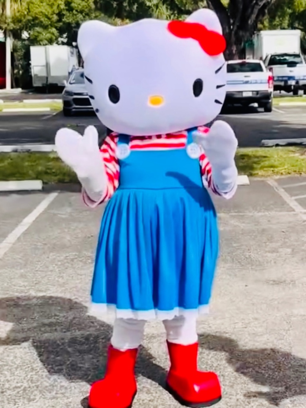 Hello kitty mascot costume 🎀
